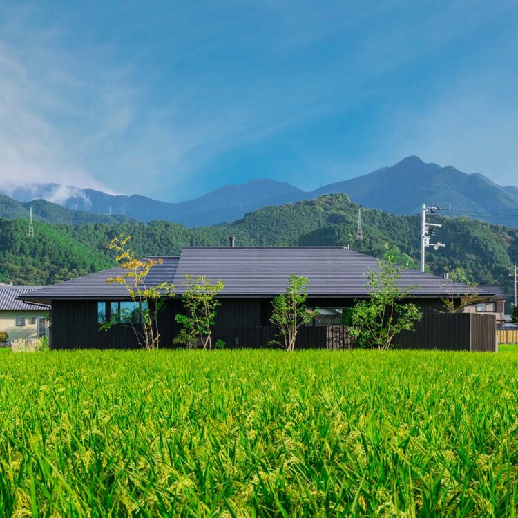 田んぼの中に建つ黒い平屋