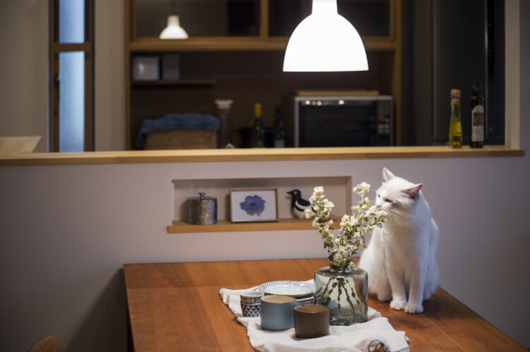 猫と一緒に暮らす家づくり実例間取りアイデアと設備の選び方