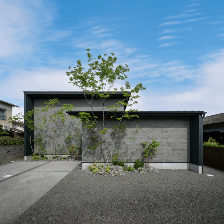 スキップフロア下におこもり空間がある平屋
