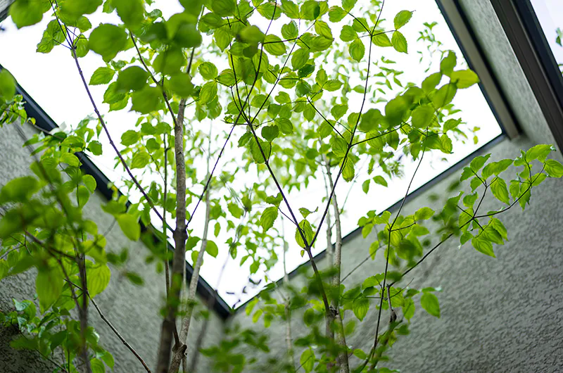土地購入の流れ | 必要な書類と押さえておくべきポイントを解説